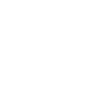 img culture